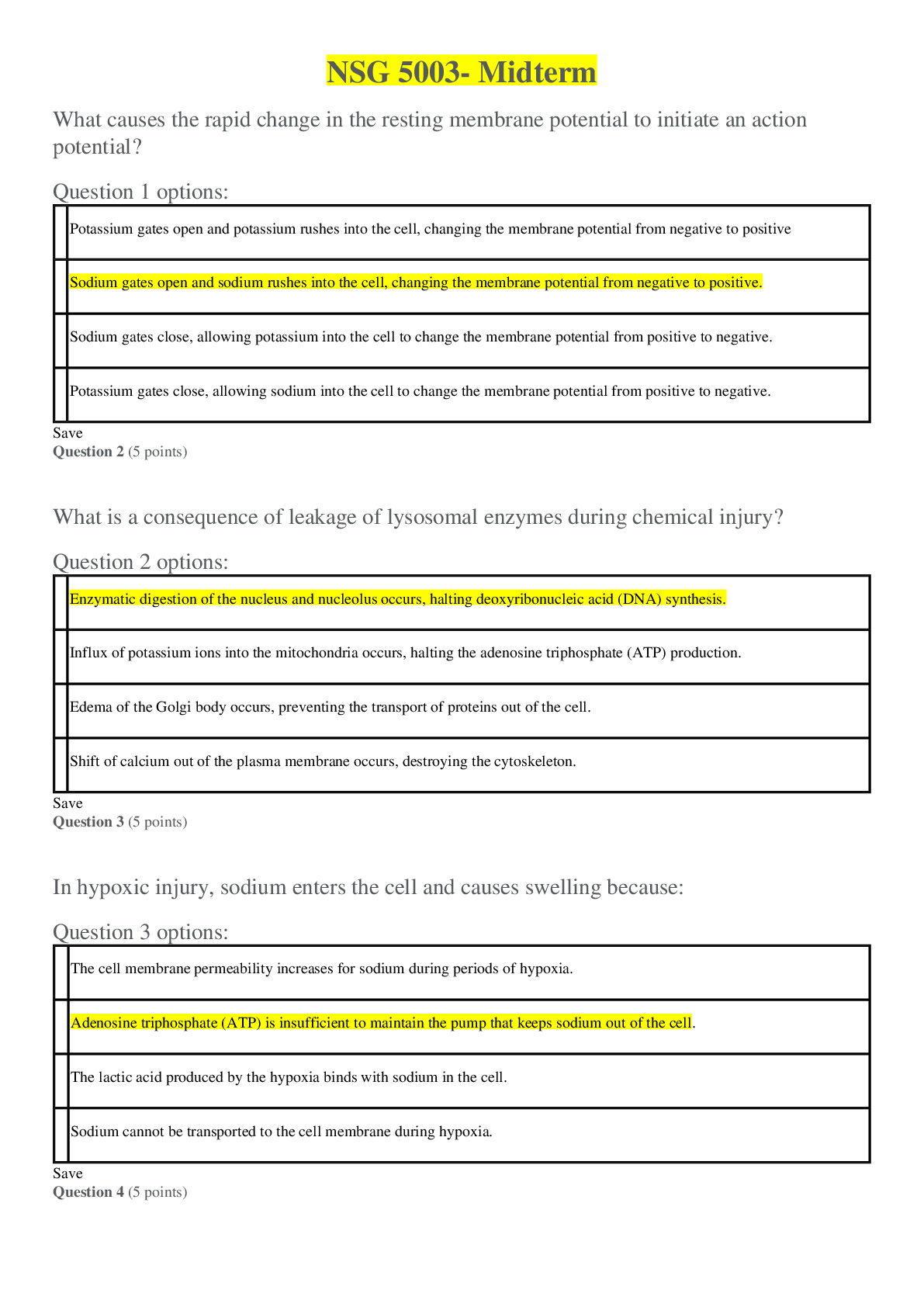 Preview image of NSG 5003 Midterm document